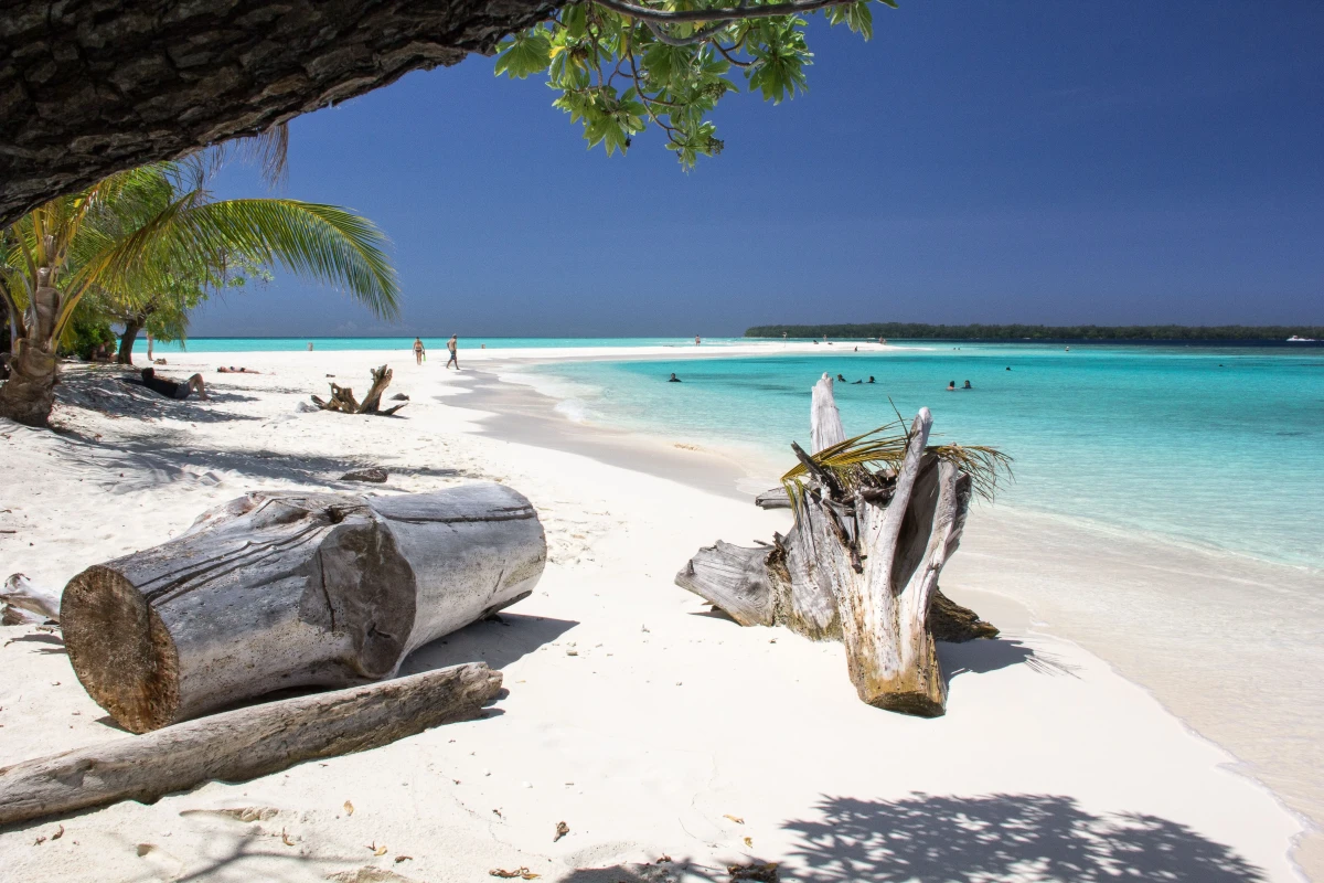https://media.leisurecom.com/cruise/image-2024-12-11-09-49-00.webp