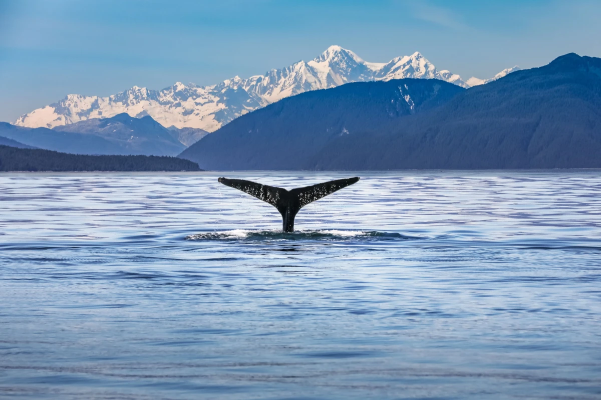 https://media.leisurecom.com/cruise/image-2025-02-27-18-35-04.webp
