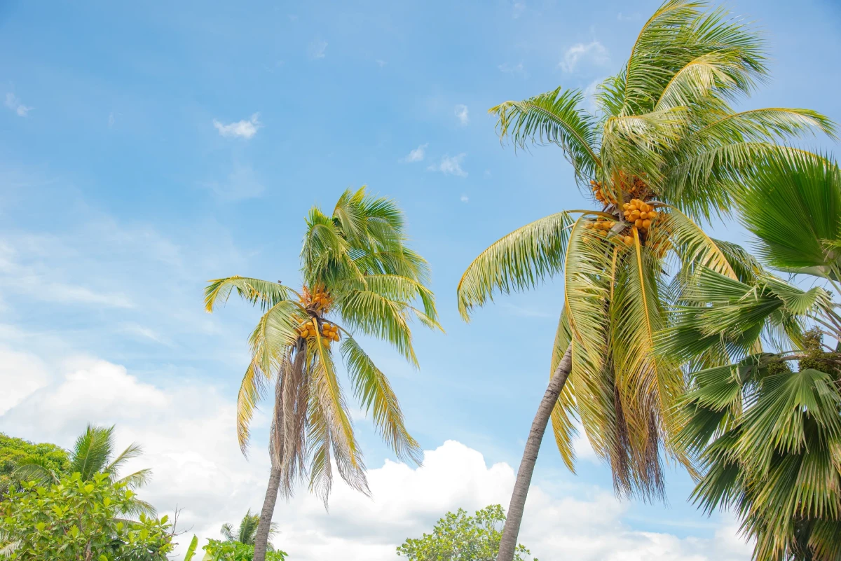 https://media.leisurecom.com/cruise/image-2025-03-12-18-03-44.webp