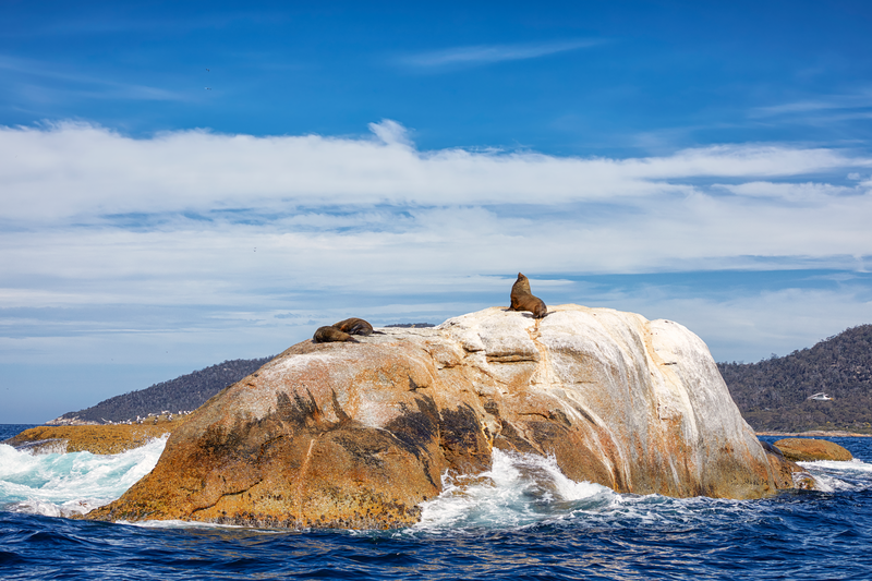 Western Wonders of Tasmania