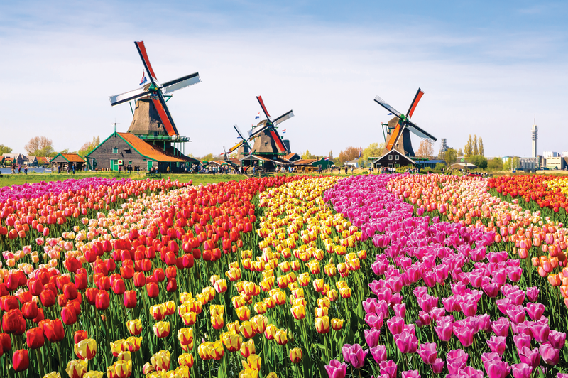 Springtime in The Netherlands and Belgium