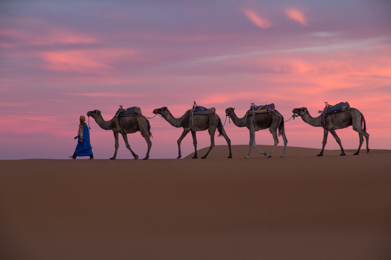 Magical Morocco