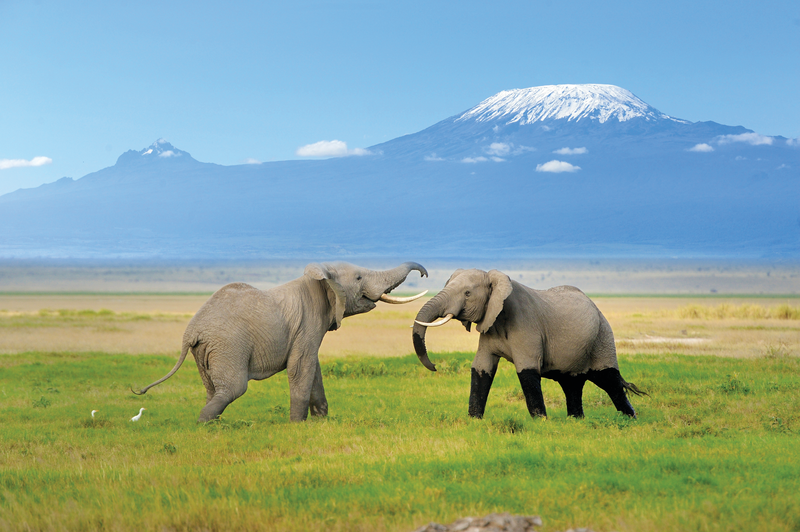 Kenya and Tanzania Adventure