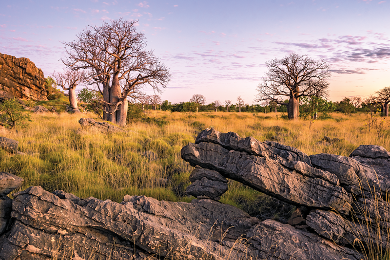 Kimberley and Northern Territory Highlights