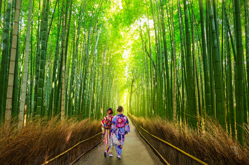 Essence of Japan and Coastal Discovery