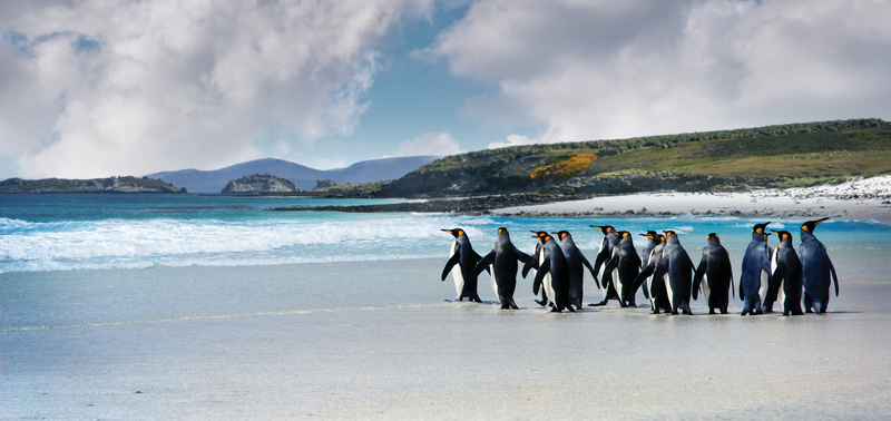 Highlights of South America and Chilean Fjords Cruise