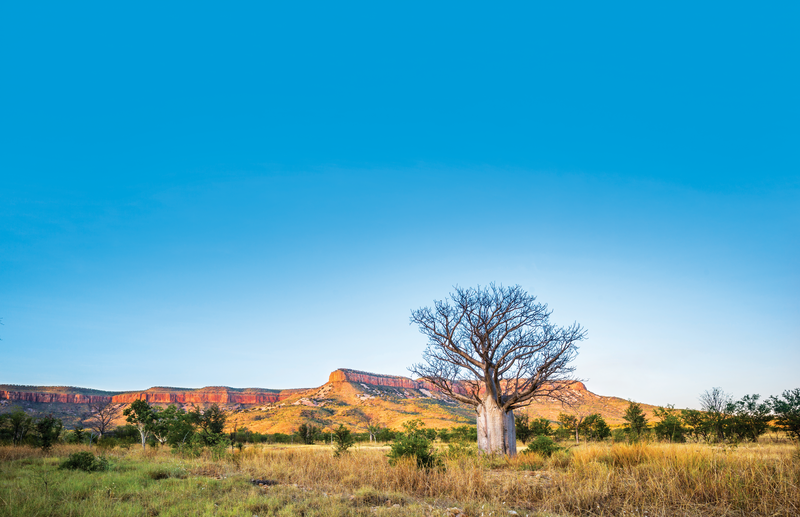 Kimberley and Northern Territory Highlights