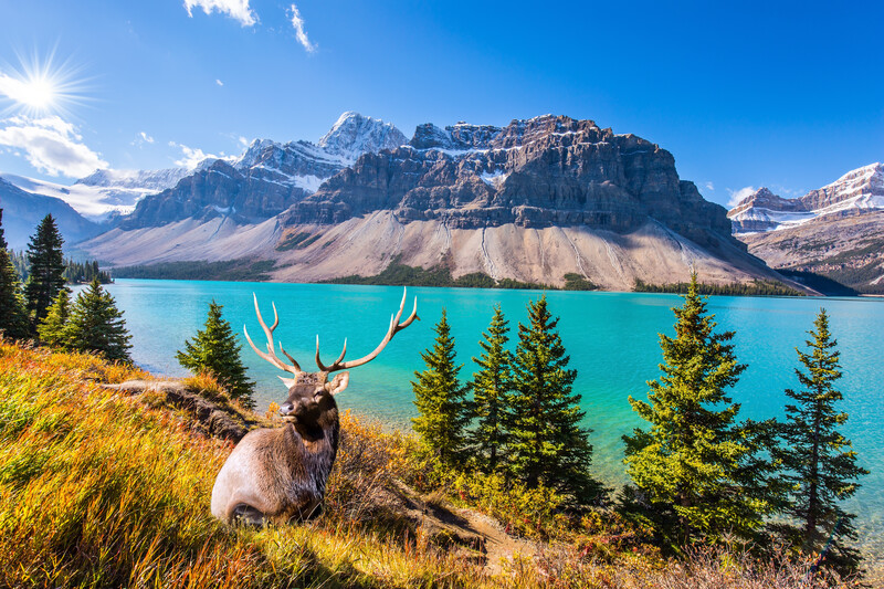 The Best of Canada