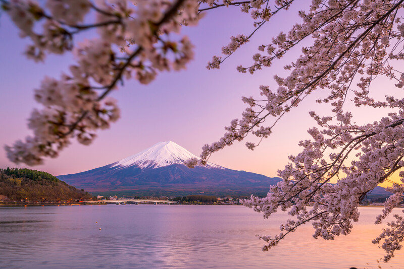 Japan's Golden Route and Coastal Discovery