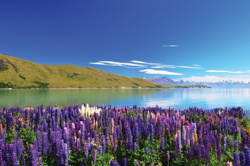 Incredible New Zealand